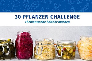 Bild mit fünf Einweckgläsern und verschiedenen Gemüsen darin