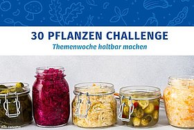 Bild mit fünf Einweckgläsern und verschiedenen Gemüsen darin