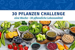 Bild mit sehr vielen verschiedenen Pflanzlichen Lebensmitteln, dazu die Schrift "30 Pflanzen Challenge - eine Woche, 30 pflanzliche Lebensmittel"